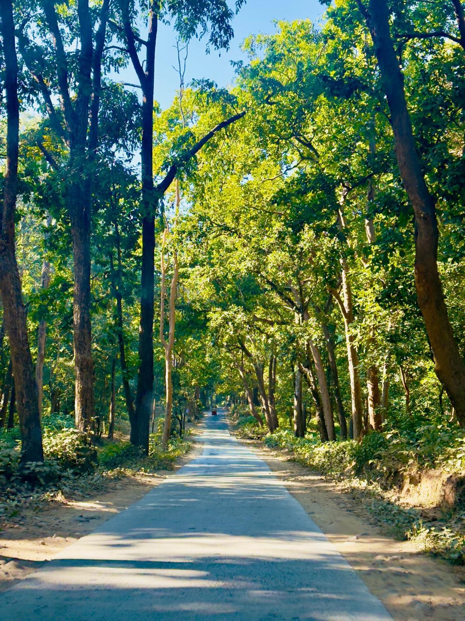 Forest Creek Resort Kiari - A Luxury 4 Star Resort Rāmnagar Buitenkant foto